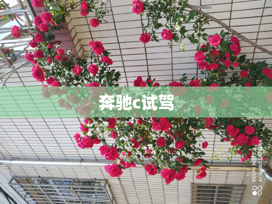 奔驰c试驾