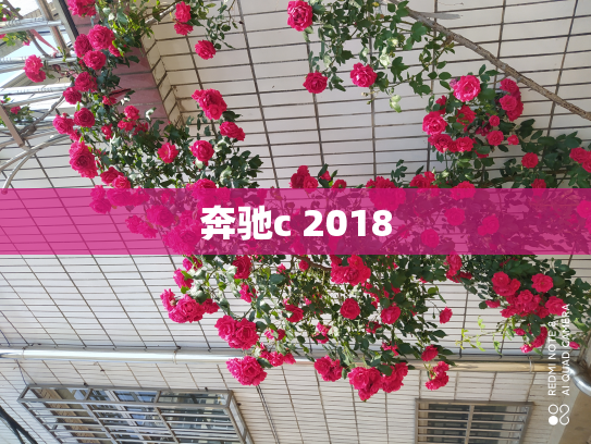 奔驰c 2018