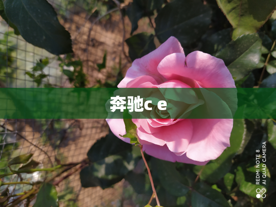 奔驰c e