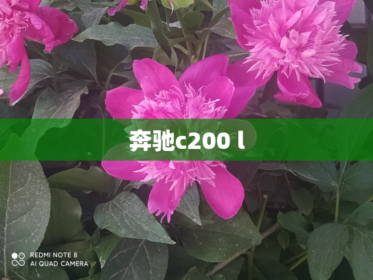奔驰c200 l