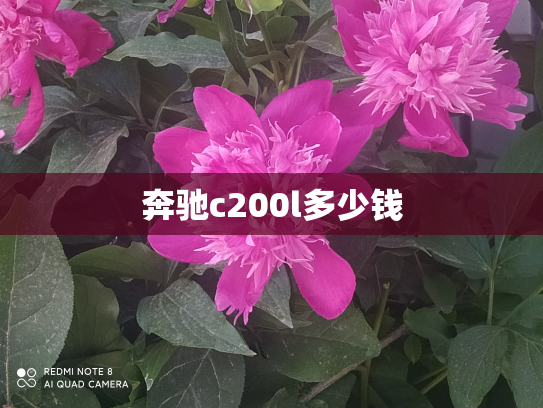 奔驰c200l多少钱