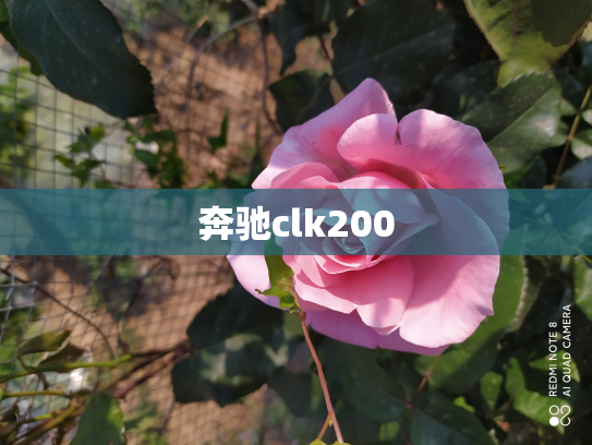 奔驰clk200