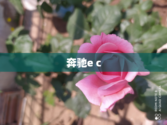 奔驰e c
