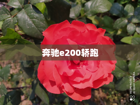 奔驰e200轿跑