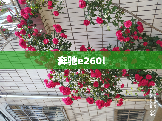 奔驰e260l