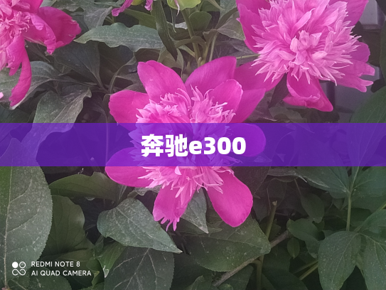 奔驰e300