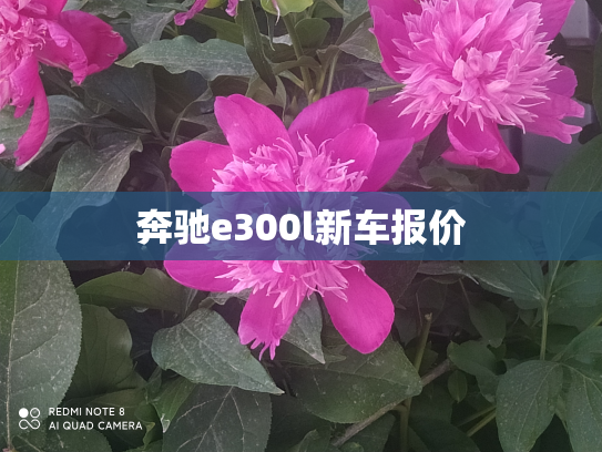 奔驰e300l新车报价