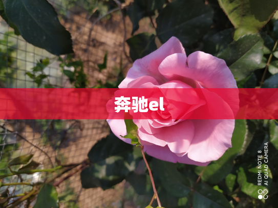 奔驰el