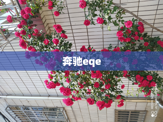 奔驰eqe