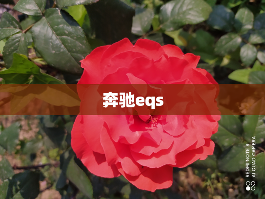 奔驰eqs