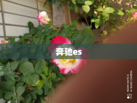 奔驰es