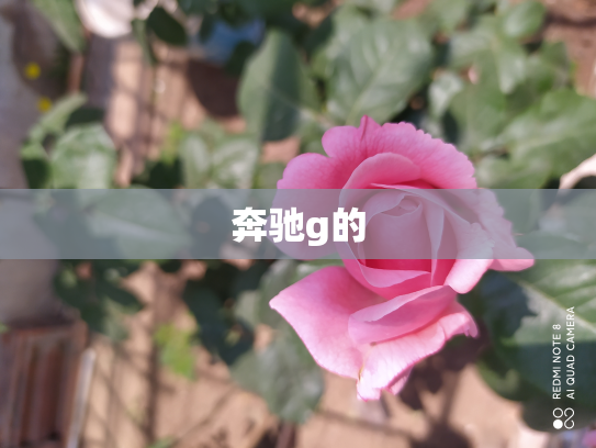 奔驰g的