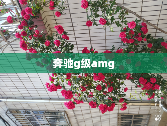 奔驰g级amg