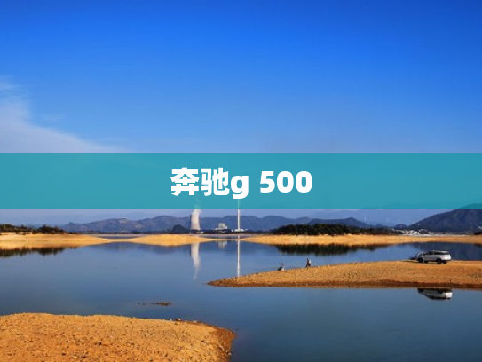 奔驰g 500