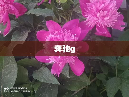 奔驰g