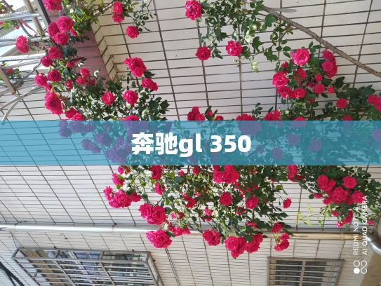 奔驰gl 350