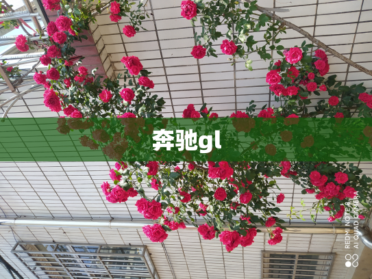 奔驰gl