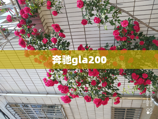 奔驰gla200