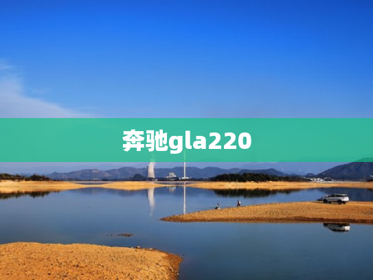 奔驰gla220