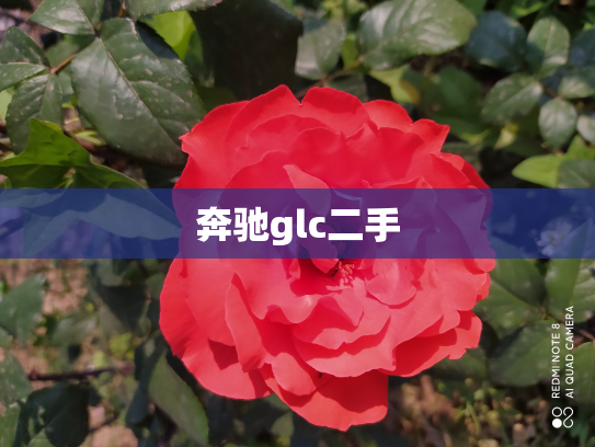 奔驰glc二手