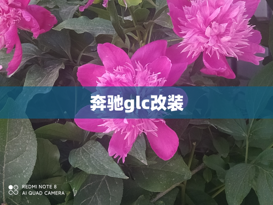 奔驰glc改装