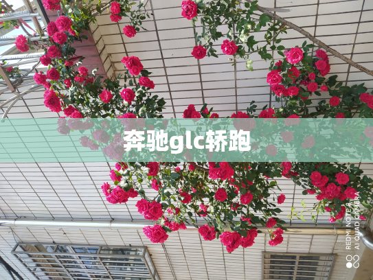 奔驰glc轿跑