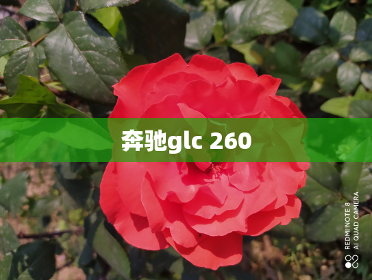 奔驰glc 260