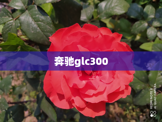 奔驰glc300