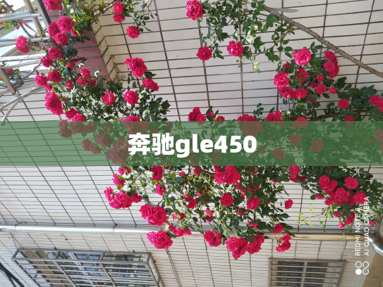奔驰gle450