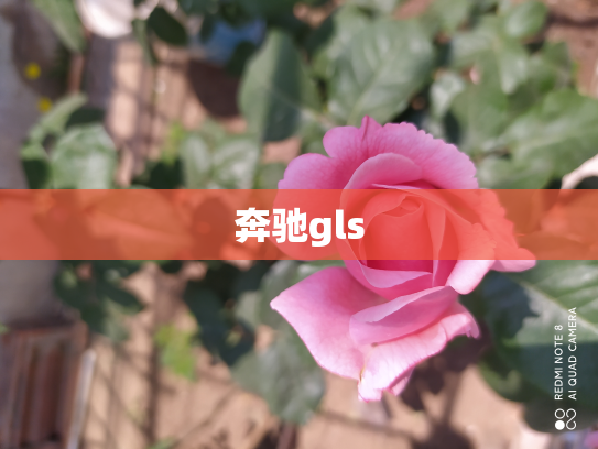 奔驰gls