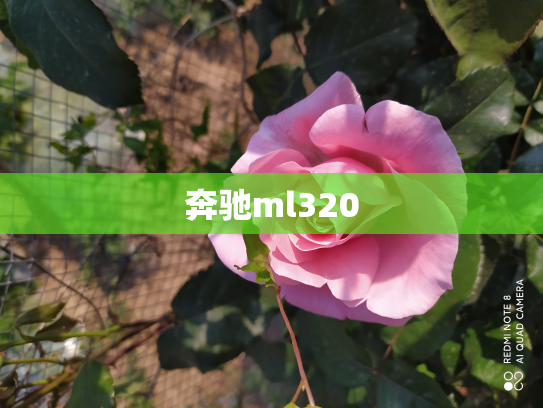 奔驰ml320