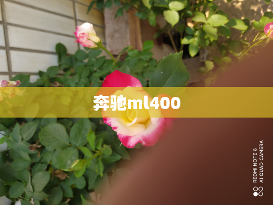 奔驰ml400