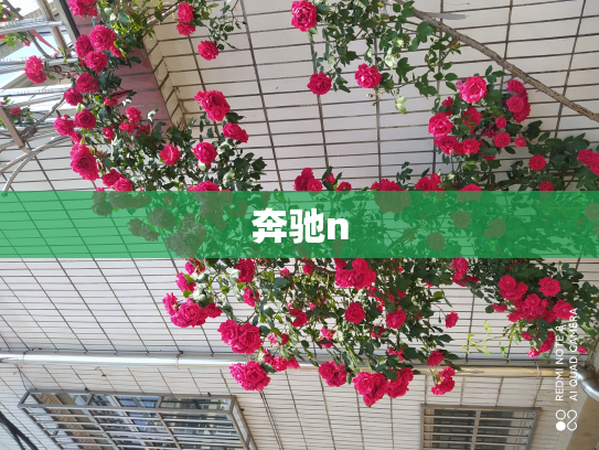 奔驰n