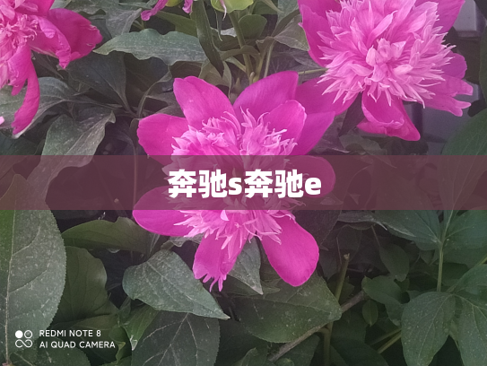 奔驰s奔驰e