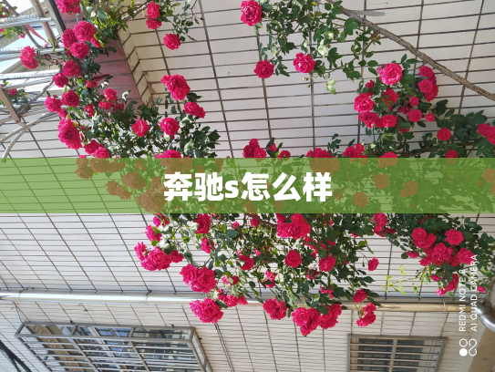 奔驰s怎么样