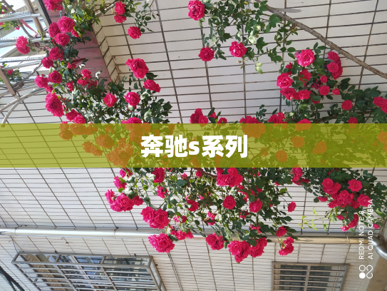 奔驰s系列