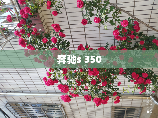 奔驰s 350