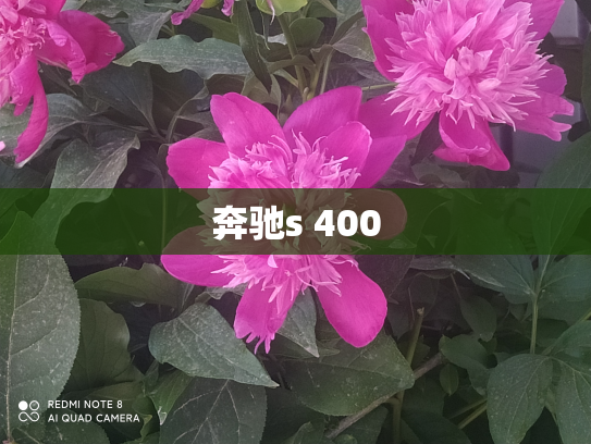奔驰s 400