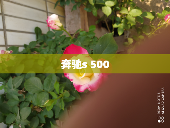 奔驰s 500