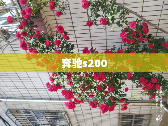 奔驰s200