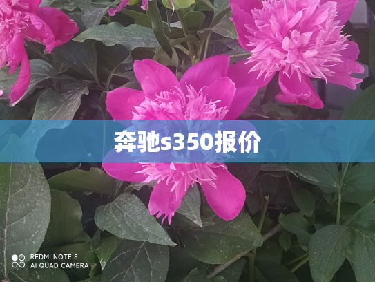 奔驰s350报价