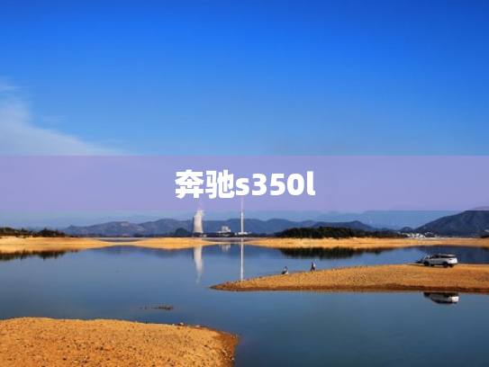 奔驰s350l