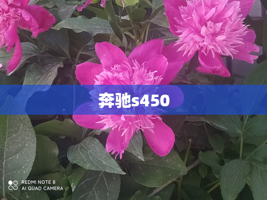 奔驰s450