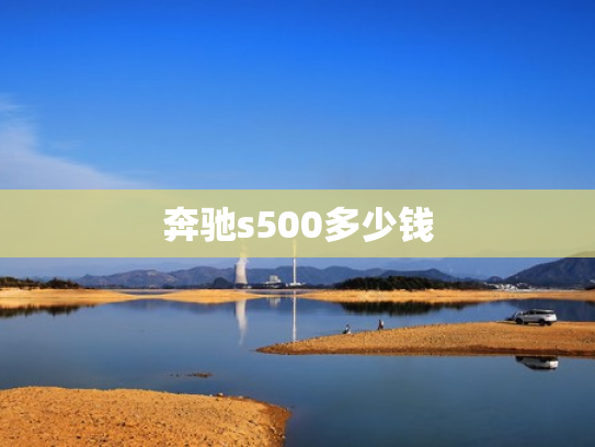 奔驰s500多少钱