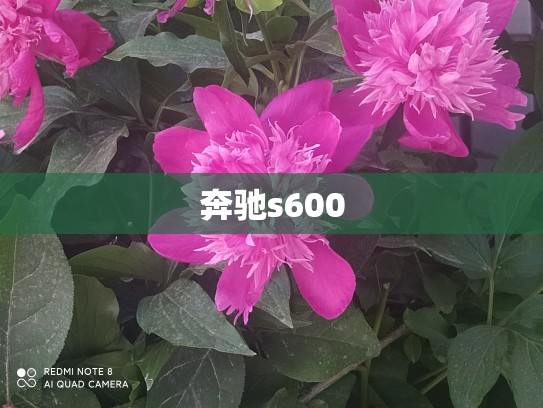 奔驰s600