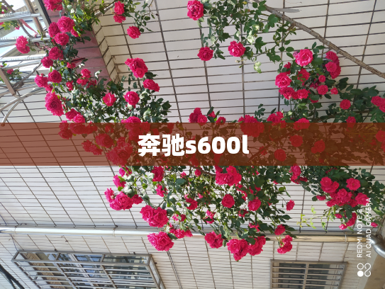 奔驰s600l