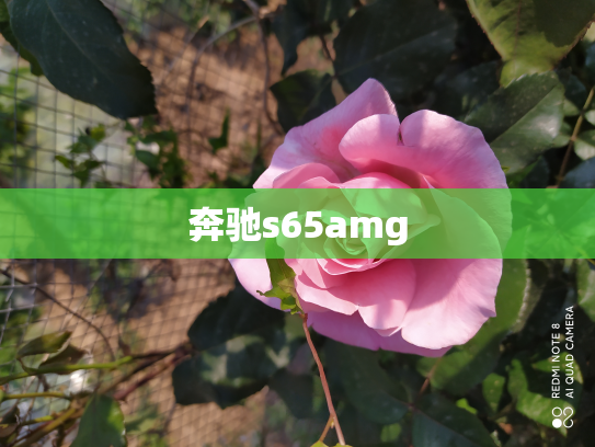 奔驰s65amg