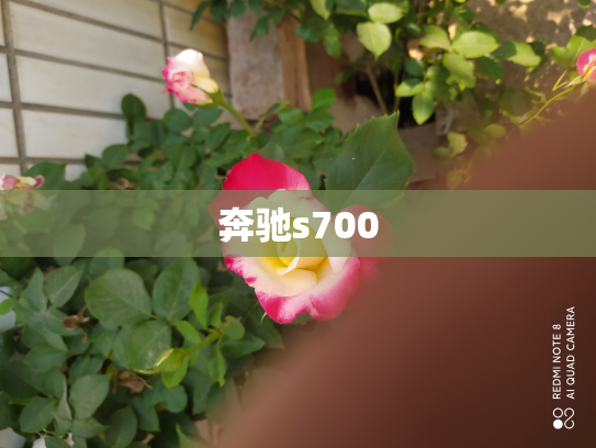 奔驰s700