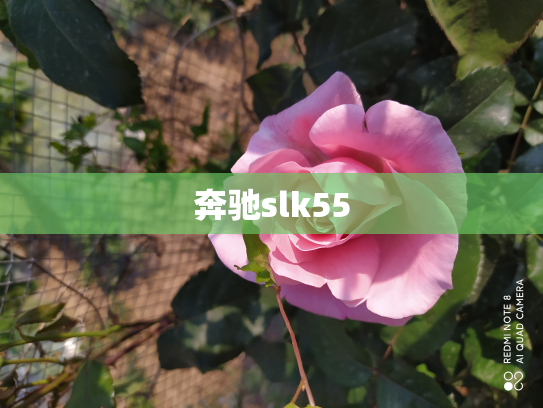 奔驰slk55