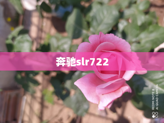 奔驰slr722